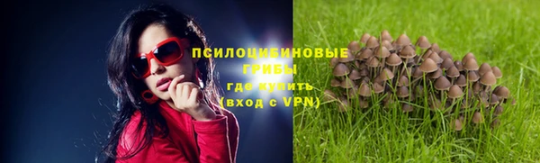 каннабис Аркадак