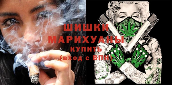 ешки Арсеньев