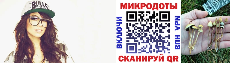 Галлюциногенные грибы Psilocybe  Бирюсинск 